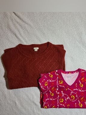 Women’s Petite 2 Bundle J.Crew Sweater + Kim Rogers Blouse Cozy Casual